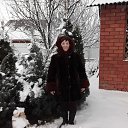 ���� ����, �������, 73 ���� - ��������� 8 ������ 2016 � ������ ���� ����������