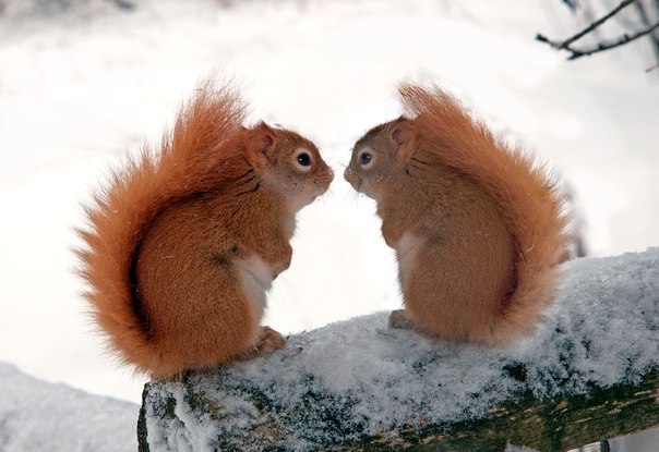   - 16  2015  18:09 - 9