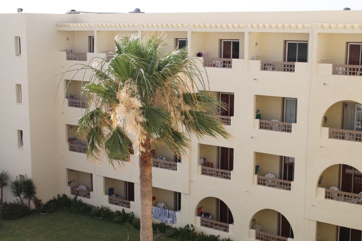 �����, Novostar Palmyra 3*, 2014 - 6