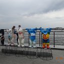  ,  -  24  2015    2015 