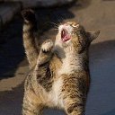 ���� ������, ��������, 65 ��� - ��������� 7 ������� 2015