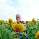 ���� �������, ���������, 64 ���� - ��������� 2 ������� 2015 � ������ ���� ����������