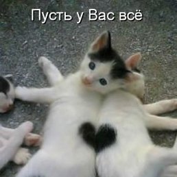 ���� N, ��������� - ��������� 26 �������� 2015
