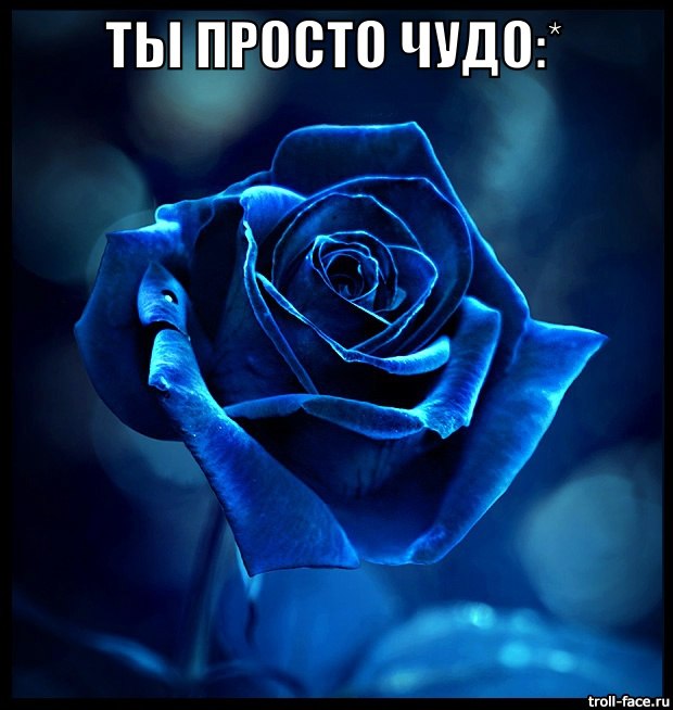 ,     .  .  .. - 2