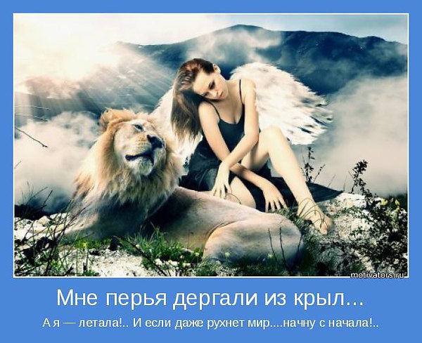  - 5  2016  12:41