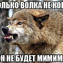 ���� ----������, �����, 43 ���� - ��������� 4 ������ 2015