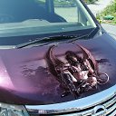 ���� ���������, �����������, 64 ���� - ��������� 8 ������ 2015 � ������ ����λ