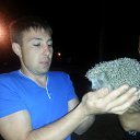 ���� �������, �����-���������, 35 ��� - ��������� 25 ������� 2015