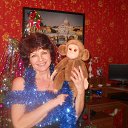  , , 62  -  5  2016   2016