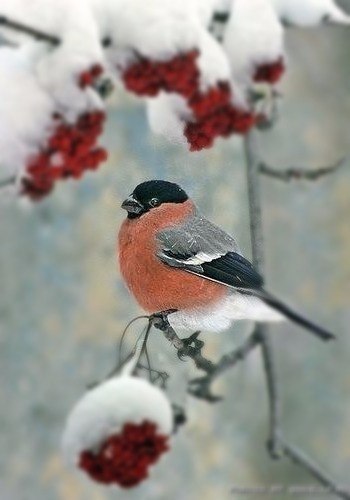 Winter Style. - 6