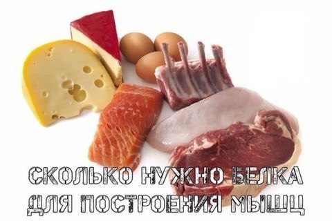СКОЛЬКО БЕЛКА НУЖНО ДЛЯ СТРОИТЕЛЬСТВА 1 КГ МЫШЦ.В среднем 12-20 гр. на 100 гр веса. Иначе говоря ...