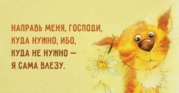  - 26  2015  23:53 - 8