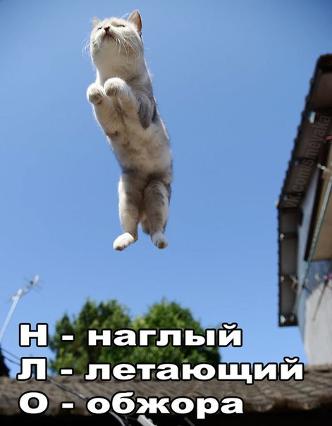 - 17  2016  10:02