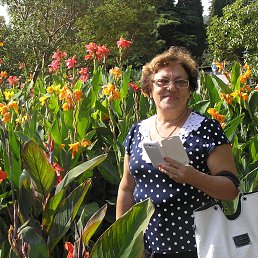 ���� �������, �����������, 77 ��� - ��������� 16 ������ 2016