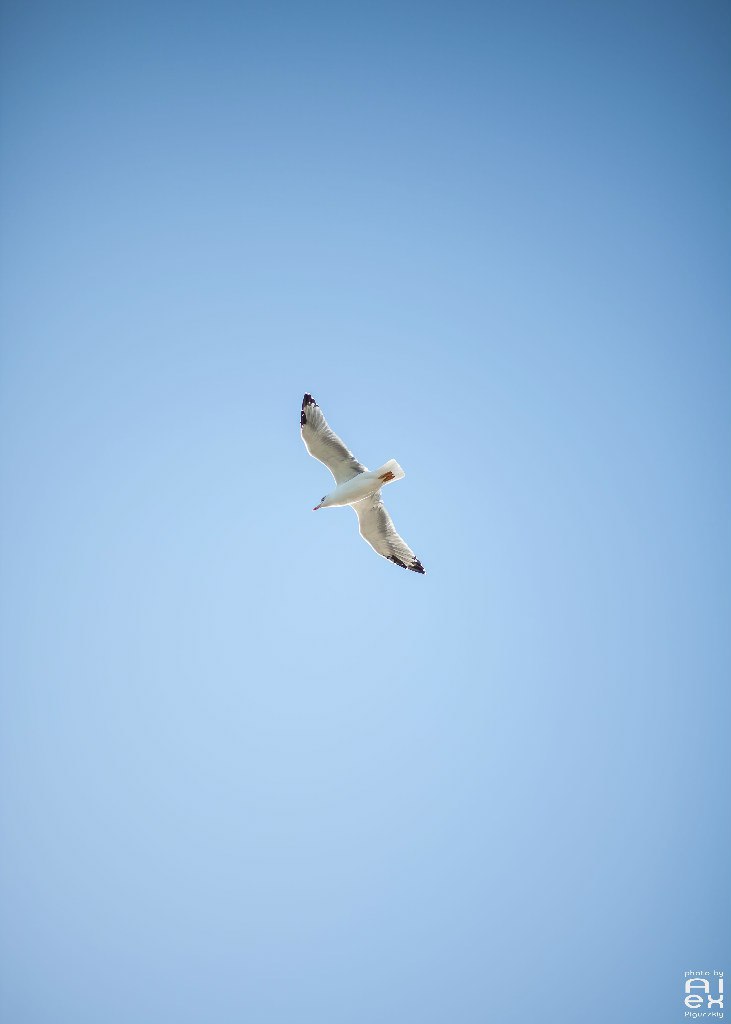    - 2  2015  16:06 - 5