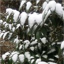 ���� Vilgen, �����, 52 ���� - ��������� 6 ������ 2016 � ������ ���� ����������