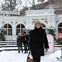  , , 61  -  16  2016   ,  2016 