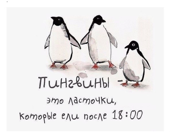  - 25  2016  23:09