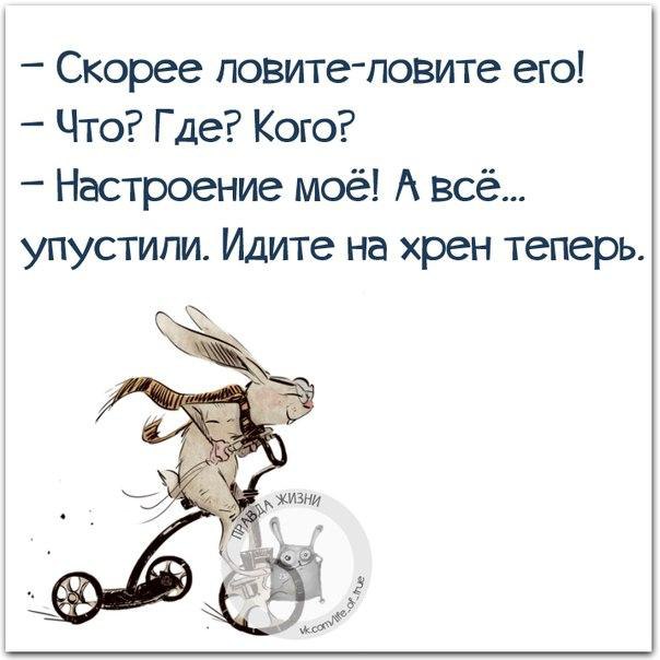   - 18  2015  14:17