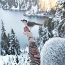 ���� �������, �������, 42 ���� - ��������� 6 ������� 2015 � ������ ������ ��������