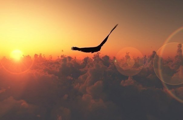         -     " "  -   : https://fotostrana.ru/away?to=/sl/9x2 - 12  2015  18:59