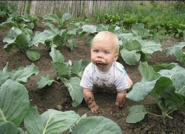 .... ....)))