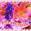 ���� �������, �����, 47 ��� - ��������� 3 ������� 2016 � ������ �������� ��������