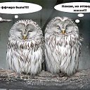 ���� �������, ������, 52 ���� - ��������� 18 ������ 2015 � ������ ���� ����������