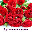  Rose,  -  17  2016    
