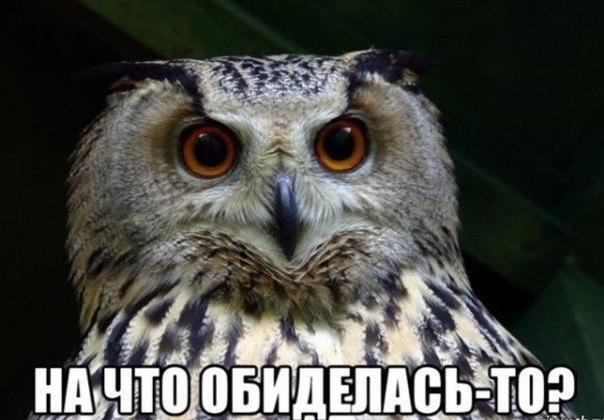 ...    - 5