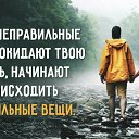  , , 49  -  7  2015    