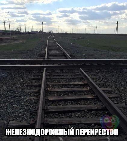   :D - 10  2015  18:47