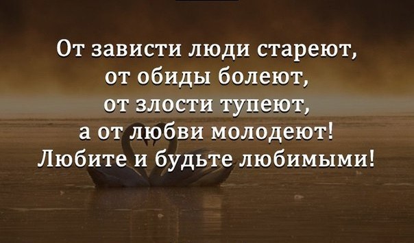 BEST | , ,  - 29  2015  03:37