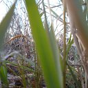  ,  -  24  2015   20.11.2015.