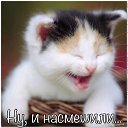 ���� Luba, ������� - ��������� 30 �������� 2015 � ������ ������ ��������