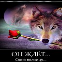 ���� ���������, �������, 61 ��� - ��������� 24 ������ 2016 � ������ ���� ����������