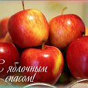 ���� �����, ������, 51 ��� - ��������� 3 ������� 2015 � ������ �������� ��������