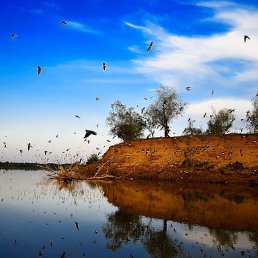 ���� �����, ����, 43 ���� - ��������� 13 ������ 2016