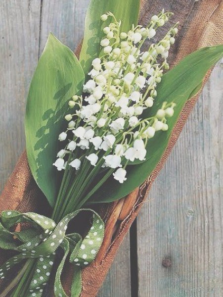 ������ ����� ���� 5 ����, �� ��� ����� � ��� ������ � ���� � ������ �� �������� - 3