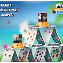 ���� �����, ��������, 49 ��� - ��������� 11 ������� 2016 � ������ �������� �������-�������