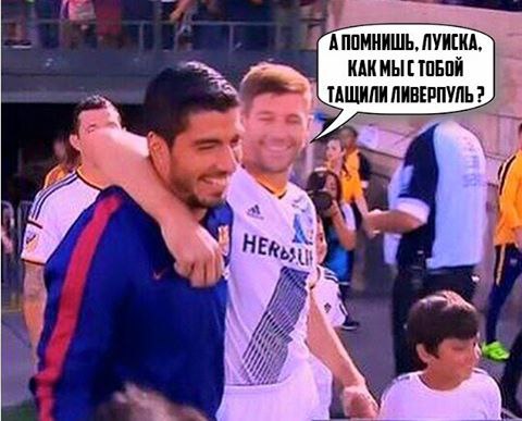  - / English Premier-League - 12  2016  19:44