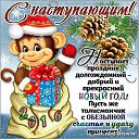���� �����, �����-���������, 55 ��� - ��������� 31 ������� 2015 � ������ ���� ����������