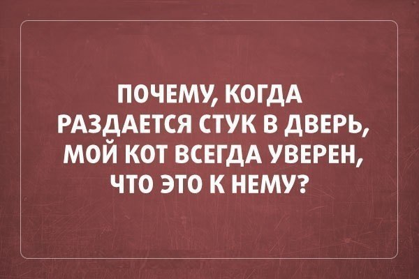   - 9  2015  13:31