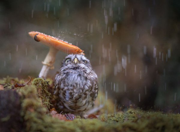  . Tanja Brandt