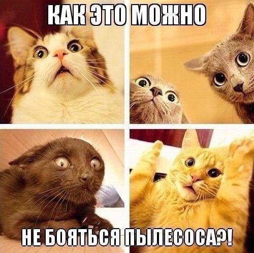   - 5  2016  04:17