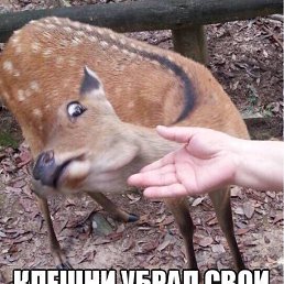 ���� �������, ������, 41 ��� - ��������� 22 ������ 2016