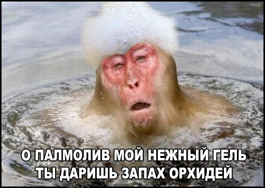  - 2  2015  09:10