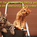���� �������, ��������, 38 ��� - ��������� 5 ������� 2015 � ������ ������ ��������