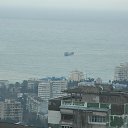  , , 73  -  8  2016      2016,