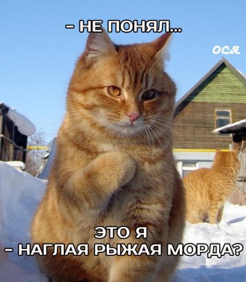 ������� - 21 ������� 2016 � 09:47